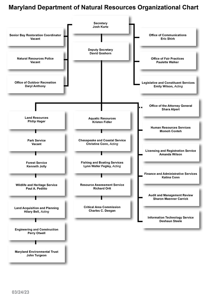 DNR Organization Chart - text version below