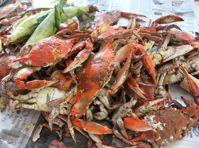 steamed crabs