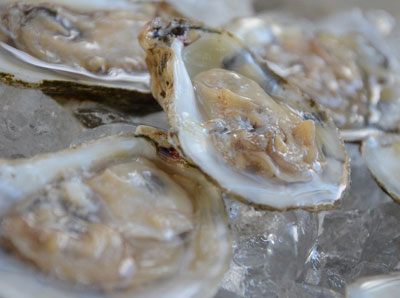 oysters on the half shell