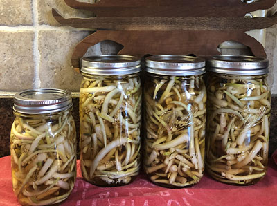 Pickled Ramps