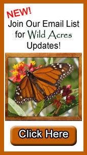 Click here to Join the Wild Acres Email list