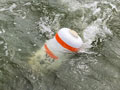 6 knot buoy