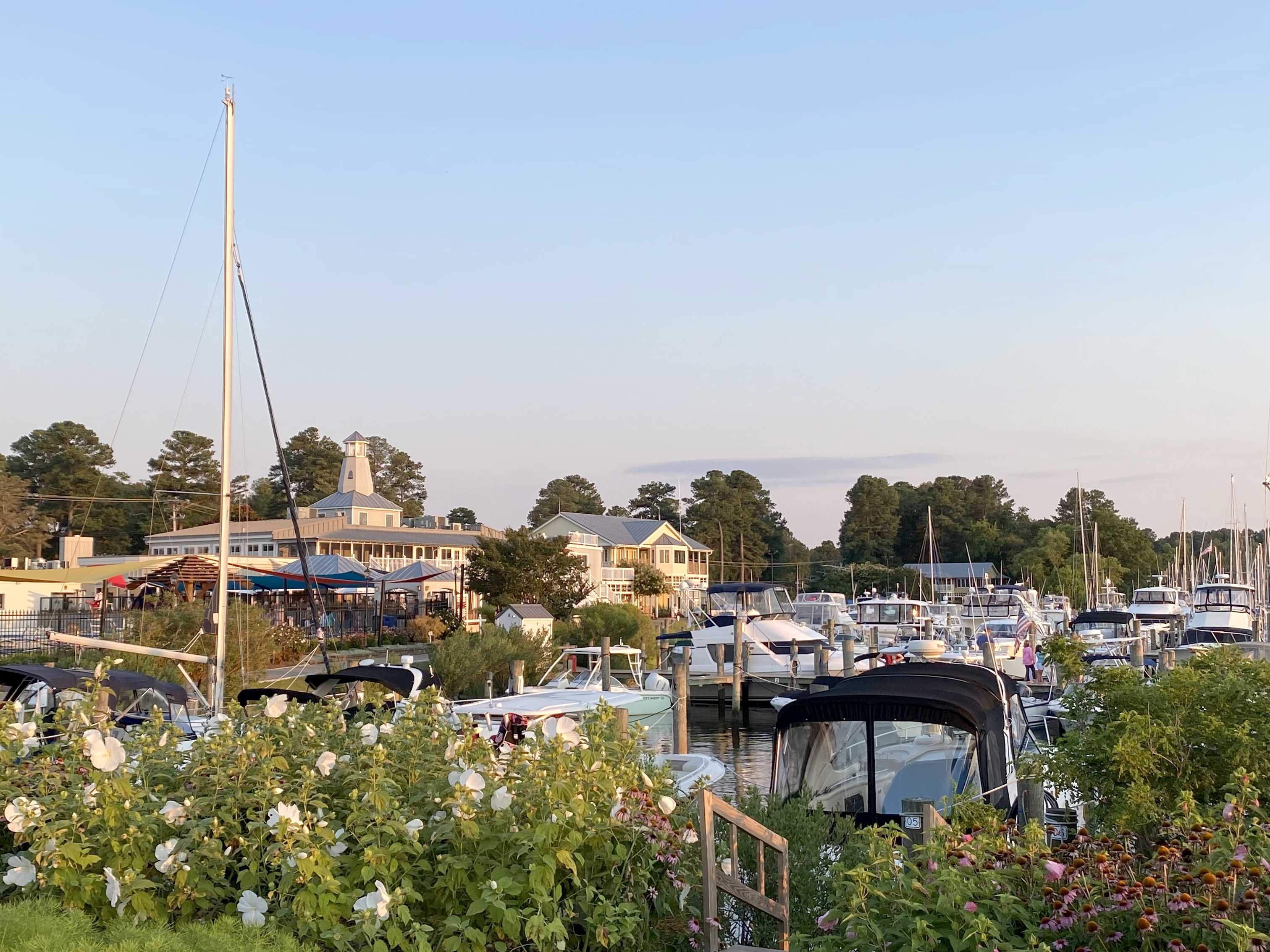 Boats docked at a marina.