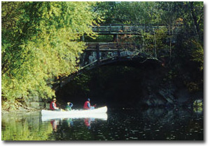 Kayakers paddling