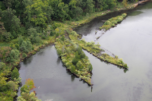 Arial of Mallows Bay courtesy of Duke University