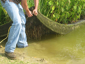 Floating wetland