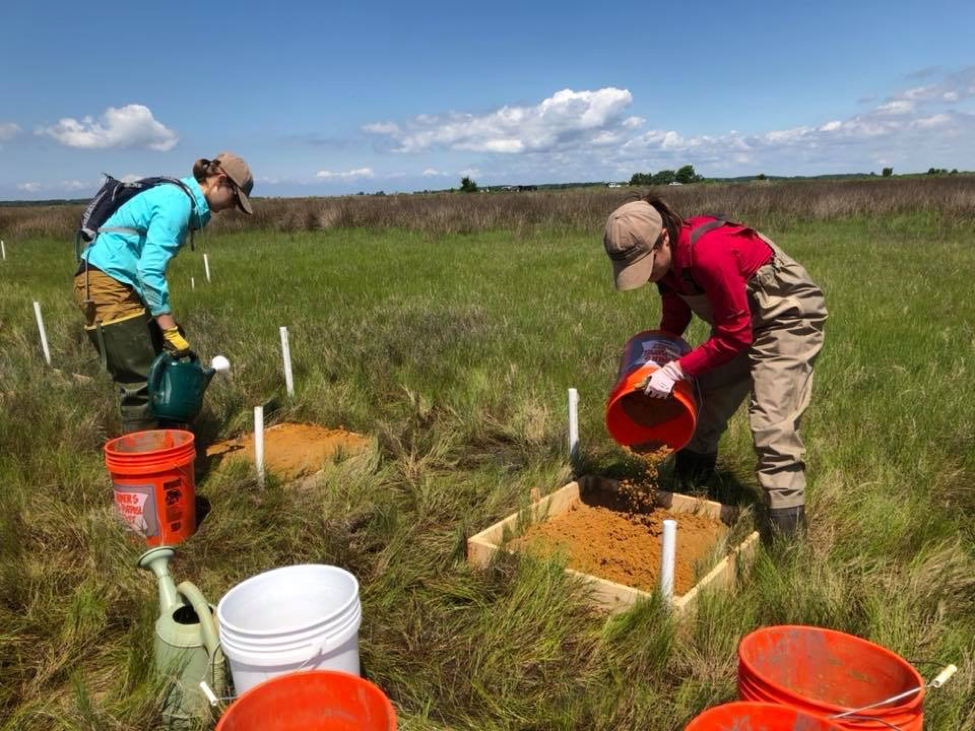 Two people working in an open field dumping dirt and watering.