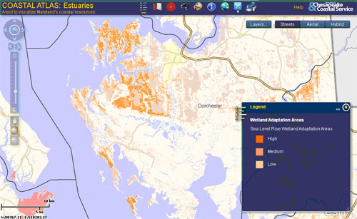 Figure 1: Dorchester County as seen in the screen capture from the Coastal Atlas. 