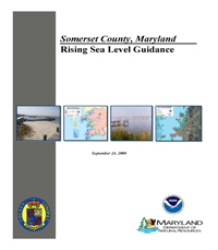 Report Cover