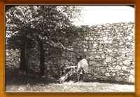  Photo of restored wall at Fort Frederick with cannon alongside