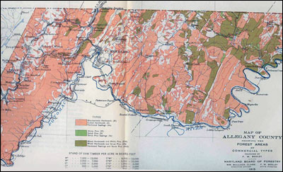 Map depicting Forest Survey of Allegany County, 1915