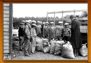 Crapo 4-H students with their collection of  pines cones