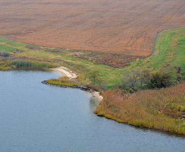 Living Shorelines