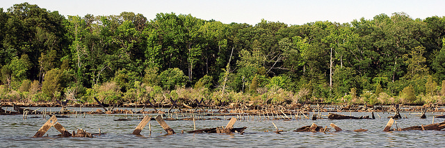 Wrecks facing the shore by Jim D'Intino