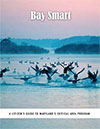 Bay Smart Publication