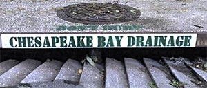 Storm Drain Stenciling Image