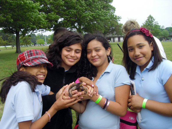 Four girls with a trutle in their hands.