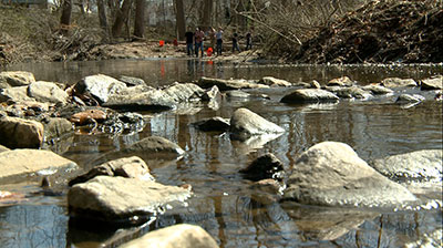 Macroinvertebrate habitat