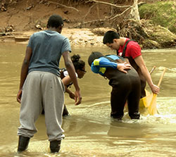 Students engaged in stream study investigation