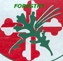 Forestry logo