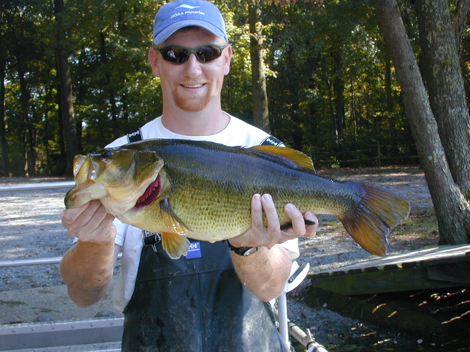 DNR biologist holding a large brown trout.