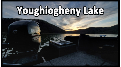 YoughioghenyLakebutton.jpg