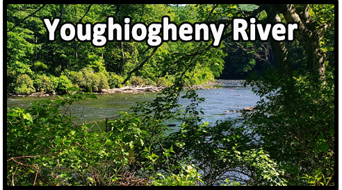 YoughioghenyRiverbutton.jpg