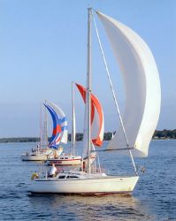 Sailboats on a downwind run