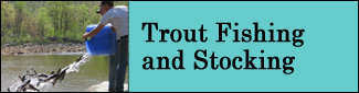 Trout Stocking Photo