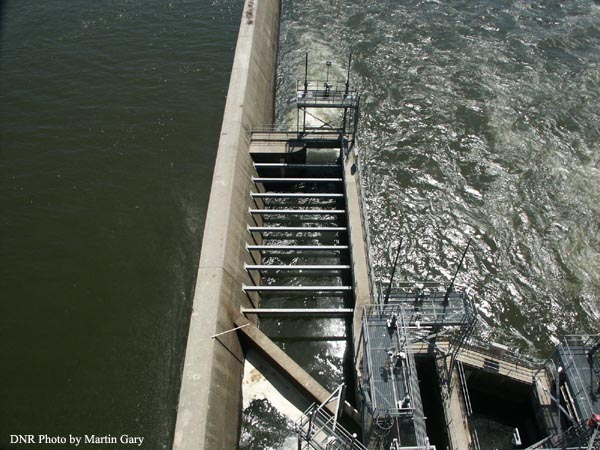 Fish Passage East Lift at Conowingo Dam