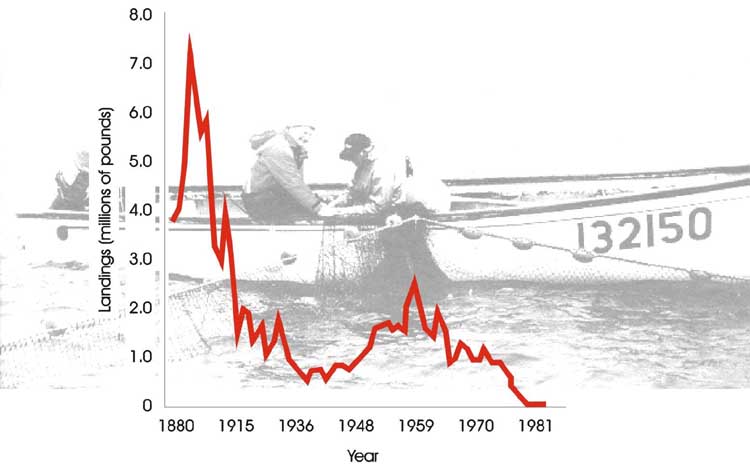 Fish Passage Landings