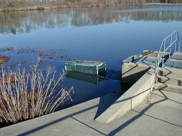 Fish Passage Net