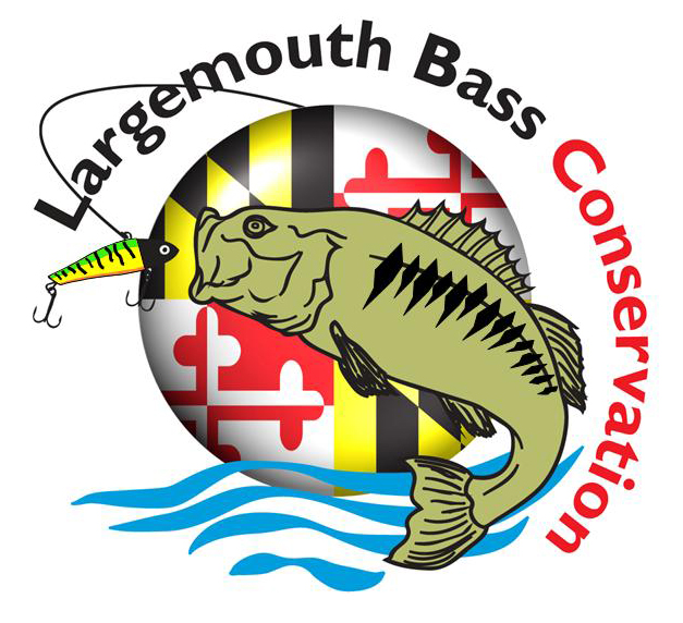 Largemouth Bass Conservation