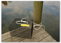 Empty oyster cage sitting on a pier.