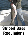 Striped Bass Seasonal Maps