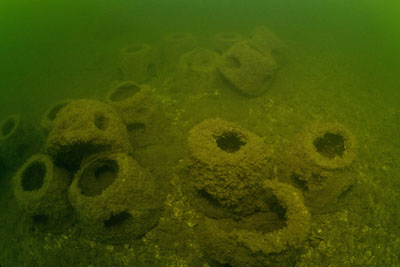 Cook Point Reef Photo