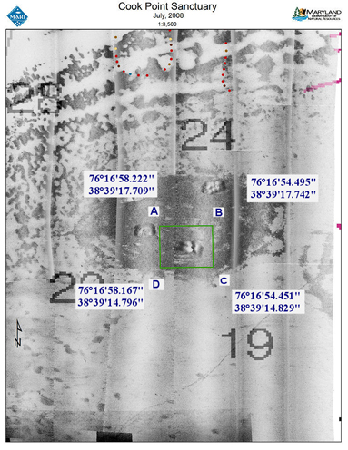 Cook Point Reef Side Scan