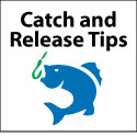 Catch and Release Tips