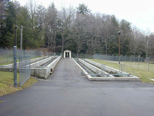 Photo of Bear Creek Hatchery raceway.