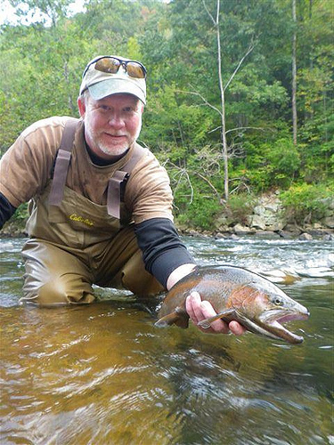 Jennings Randolph Lake Rainbow Trout