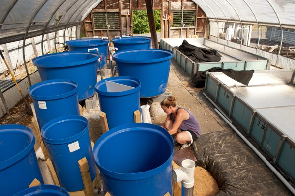 Non Shellfish Aquaculture