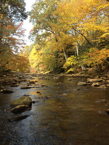 North Branch Potomac River