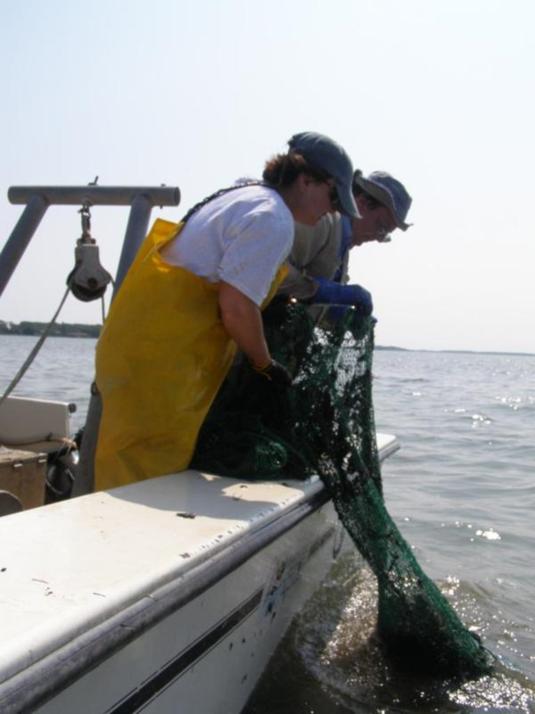 Biologist on a boat with aTrawl