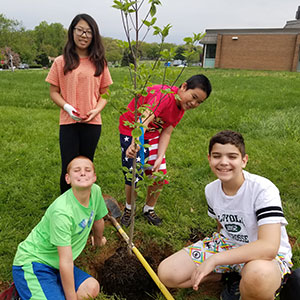 Kids planting a tree