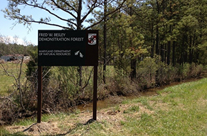 Besley Demonstration Forest Signage