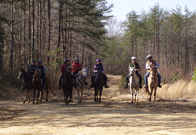 Horseback riding in Doncaster Demonstration Forest