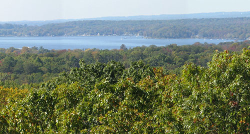 Elk Neck State Forest Scenic Overlook