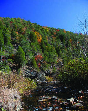 Scenic View of Green Ridge State Forest