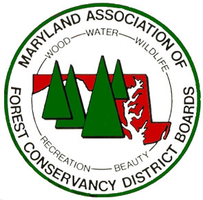 Foresty Board Logo