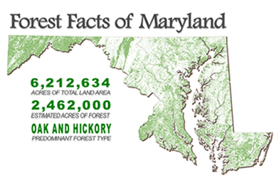 Map of Maryland showing the physiographic regions of the State.